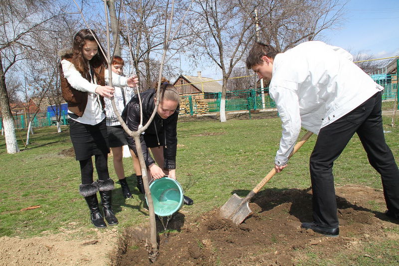 Учні школи «Сузір’я» висаджують дерева з нагоди 20-ї річниці Незалежності