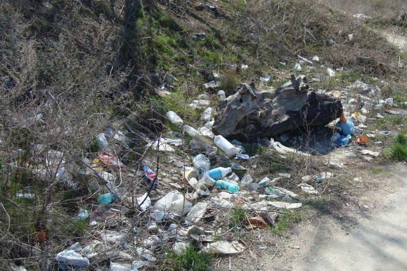 Запоріжці продовжують інформувати  владу про несанкціоновані сміттєзвалища на території області