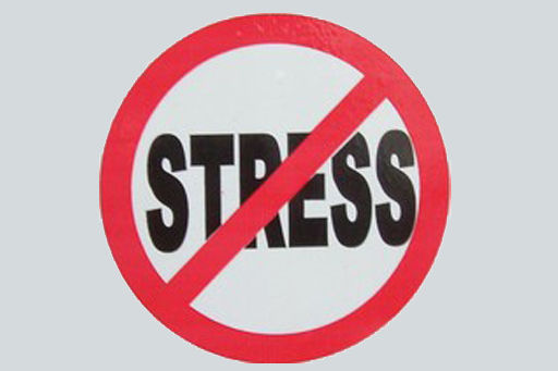 Соцпрацівники області опанували нові методи подолання та попередження стресових ситуацій