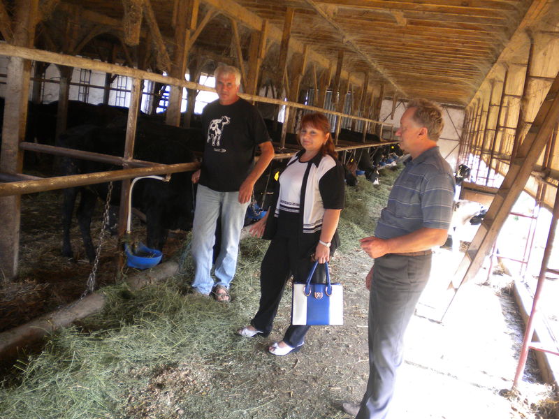 Діти-сиріти успішно навчаються молочному скотарству та землеробству