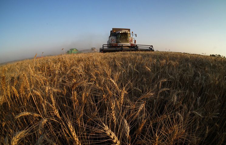 Під прицілом операції «Урожай-2016» - недобросовісні сільгоспвиробники та схеми в аграрному секторі