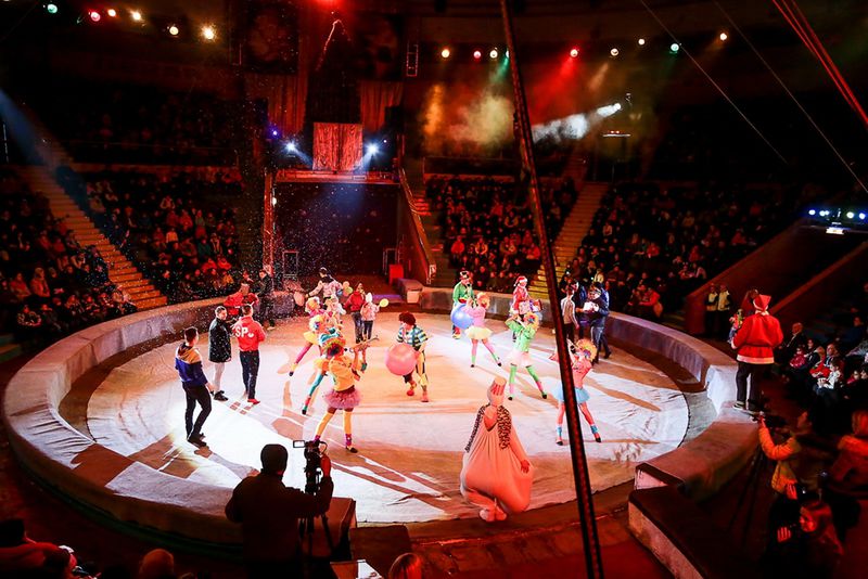 Більш ніж півтори тисячі малят відвідали Новорічну виставу в Запорізькому цирку