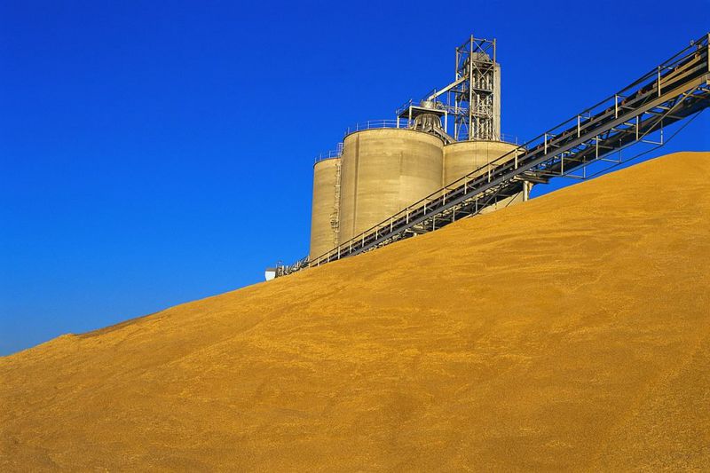 Форвардні закупівлі зернових урожаю 2017 року – дієва підтримка сільгоспвиробників