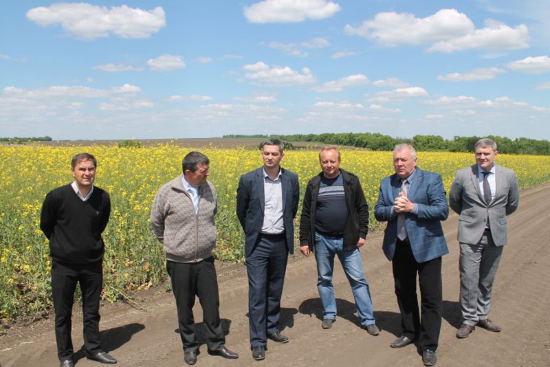 Досвід розівських аграріїв переймають колеги з Донбасу   