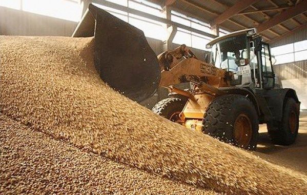 Запорізькі аграрії вийшли на 2-мільйонний обсяг зерна нового врожаю 