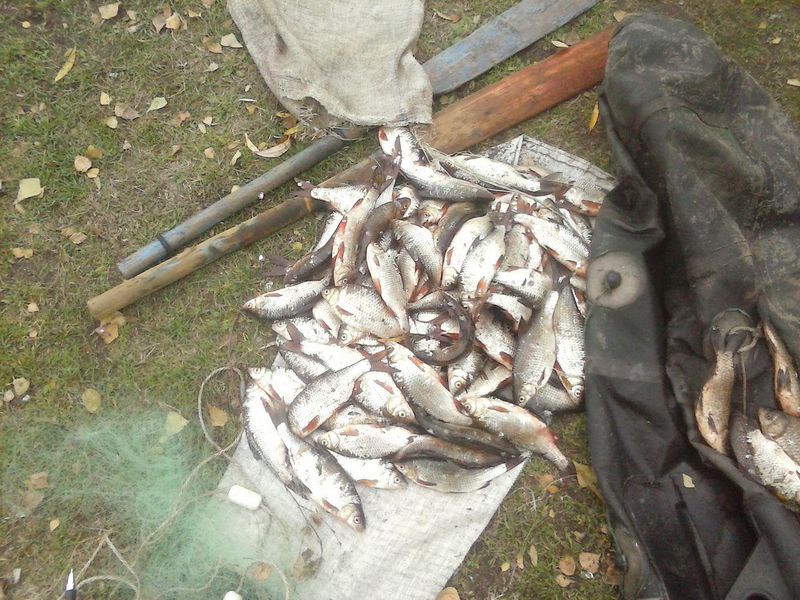 Заборона на лов риби розпочалася затриманням браконьєрів