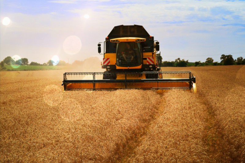 Підсумки 2017: запорізькі аграрії  зібрали майже 3 млн. тонн зерна