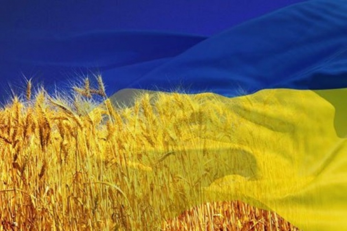 Запорізька область готується до відзначення Дня незалежності України