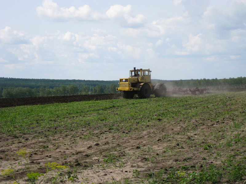 В області завершено збір пізніх зернових