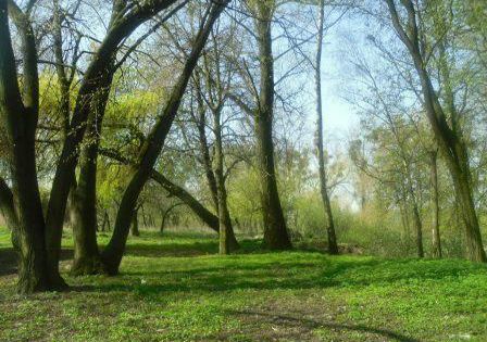16 квітня – День довкілля 
