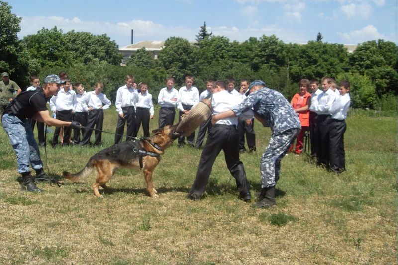 Виступ кінологів 