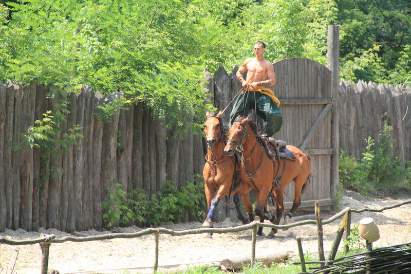 Небезпечні трюки