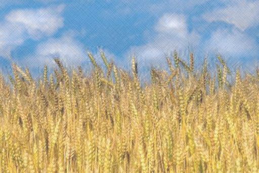 Україна Незалежна – у світлинах запорізьких фотомитців