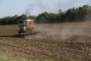 Суха погода затримує посів озимини 