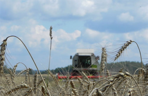 У центрі з питань охорони праці при Таврійському університеті пройшли навчання 11 тисяч аграріїв