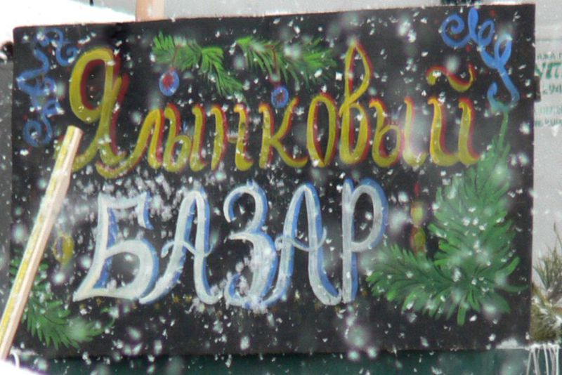 В області будуть «чіпувати» ялинки, вирощені до новорічних свят