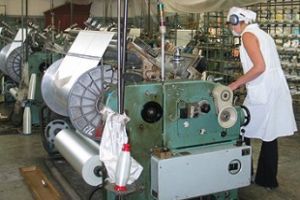 Бердянський завод скловолокна готують до приватизації