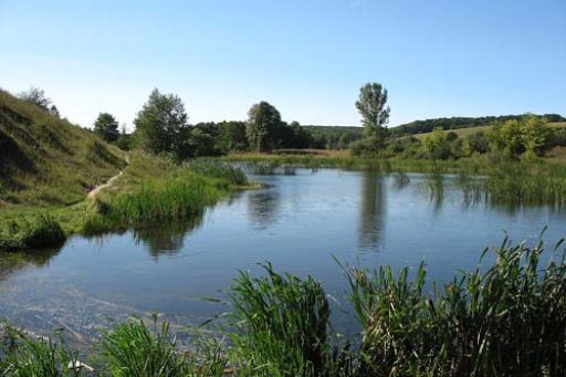 Надходження до бюджетів від сплати за оренду водних об’єктів збільшились