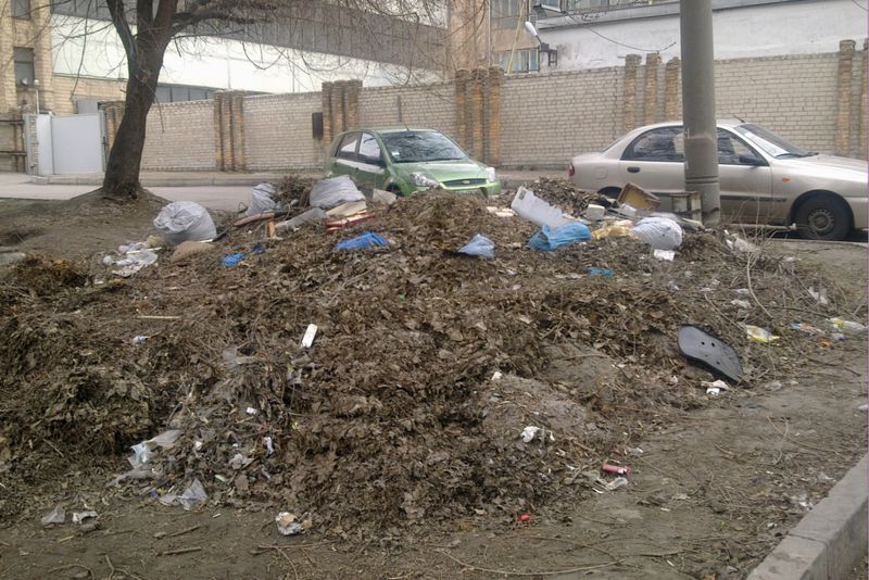 Сміттєзвалище у дворі будинку № 82б по вулиці 40 років Радянської України (м.Запоріжжя)