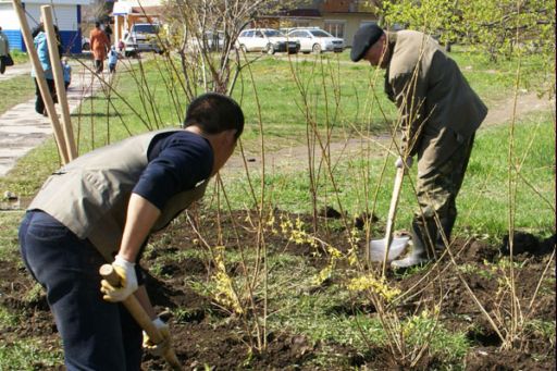 Безробітні запоріжці будуть активніше залучатися до громадських робіт