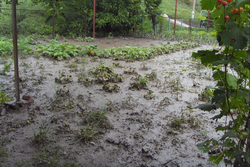 У Пологах ліквідовано наслідки негоди: воду з присадибних ділянок відкачано, електропостачання відновлено