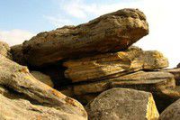 Заповідник «Кам’яна Могила» - на шляху до Списку ЮНЕСКО