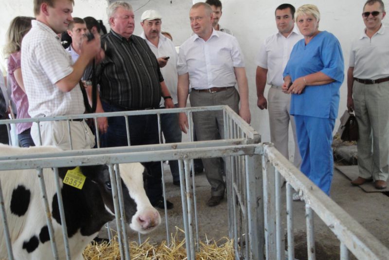 Аграрії  Кам’янсько-Дніпровського району руйнують міфи щодо збитковості сільгоспвиробництва
