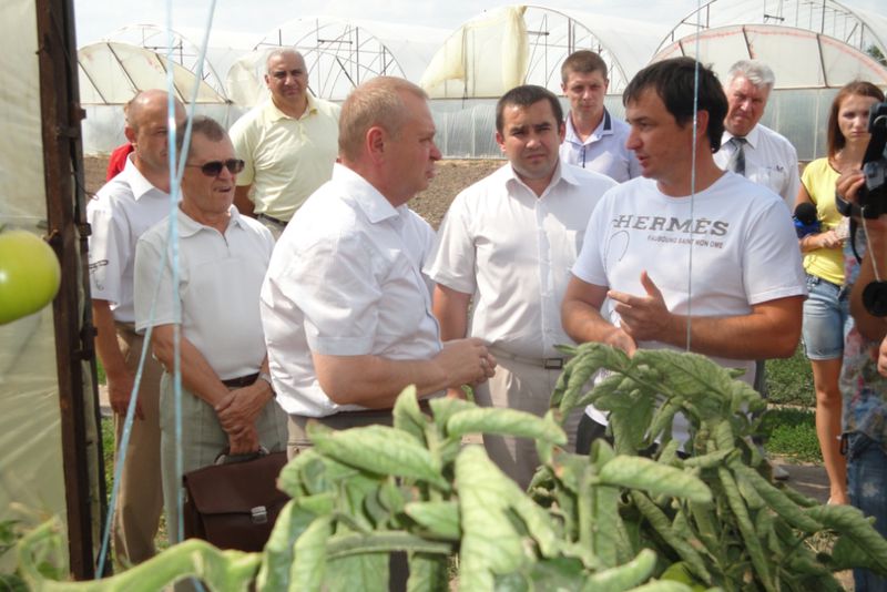 Найближчим часом ми розробимо регіональну програму з підтримки овочівництва – Олександр Пеклушенко