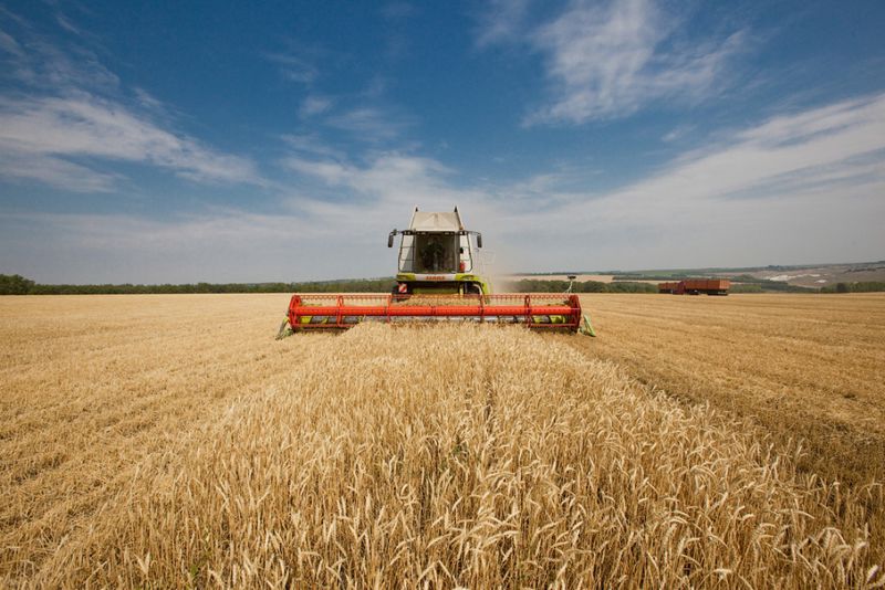 Для мінімізації втрат зерна запорізькі аграрії мають завершити збиральну кампанію до 12 липня