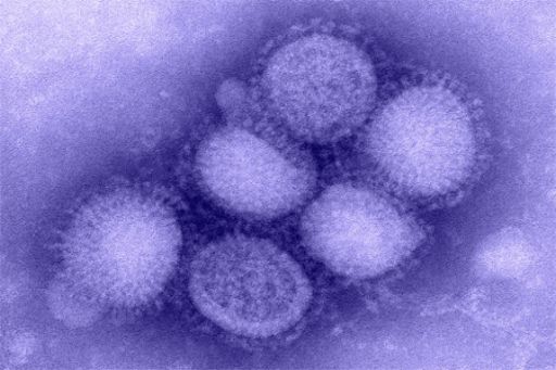 Ситуація у селі Комишуватка Приморського району – на особистому контролі  Олександра Пеклушенка