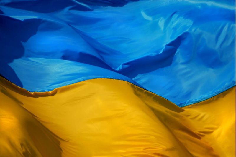 Олександр Пеклушенко закликав  відзначити День Прапора та День Незалежності  встановленням державного прапора на своїх домівках