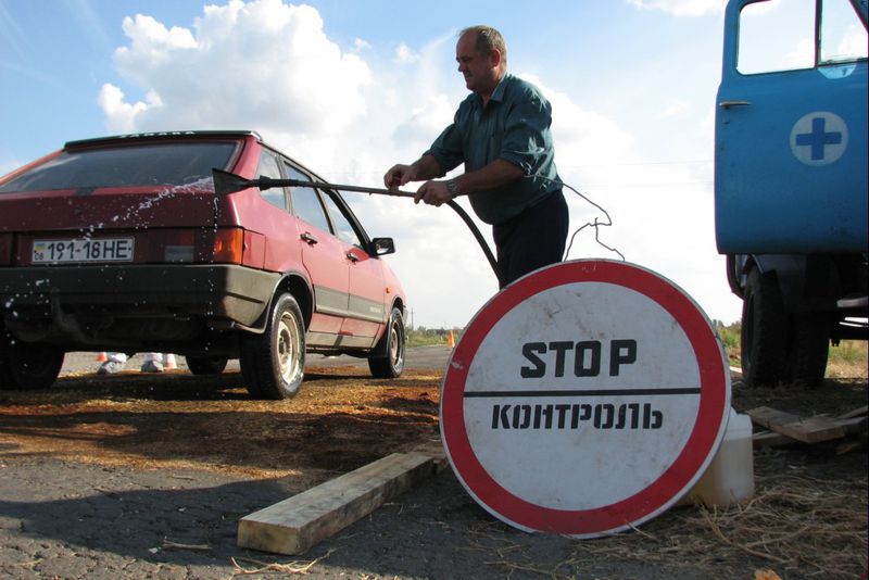 Уряд виділив 3,375 млн. грн. на вивезення свиней із зони відчуження