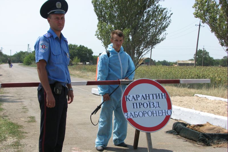 Область отримала 3,3 млн. грн. на компенсацію втрат селянам через вірус африканської чуми свиней