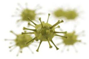 Запорізька область не досягла порогового рівня захворюваності на грип та ГРВІ 