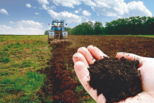 Сільськогосподарські підприємства повинні розрахуватися за оренду земельних паїв до кінця року