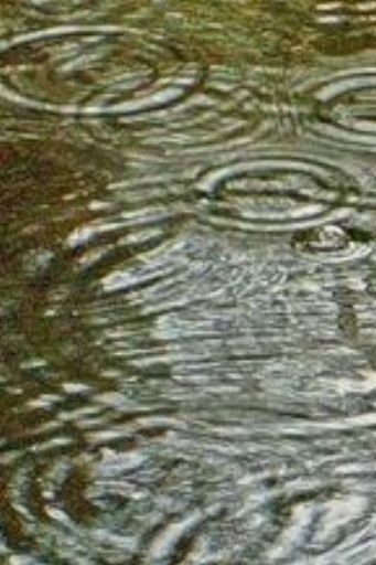 Коричневий дощ, який днями пройшов у Запоріжжі, не представляє загрози для населення