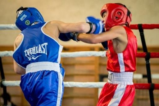 Запоріжжя приймає Чемпіонат України з боксу серед молоді