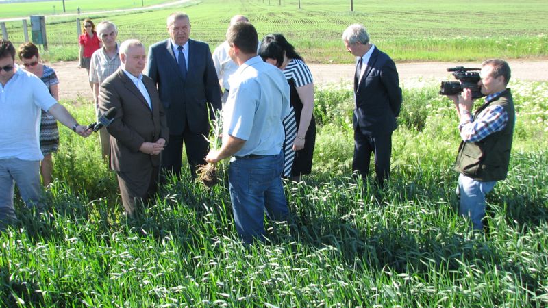 Запорізькі аграрії зробили все можливе для отримання доброго врожаю