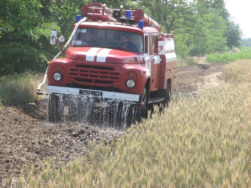 Передові приазовські агропідприємства  прогнозують високий урожай