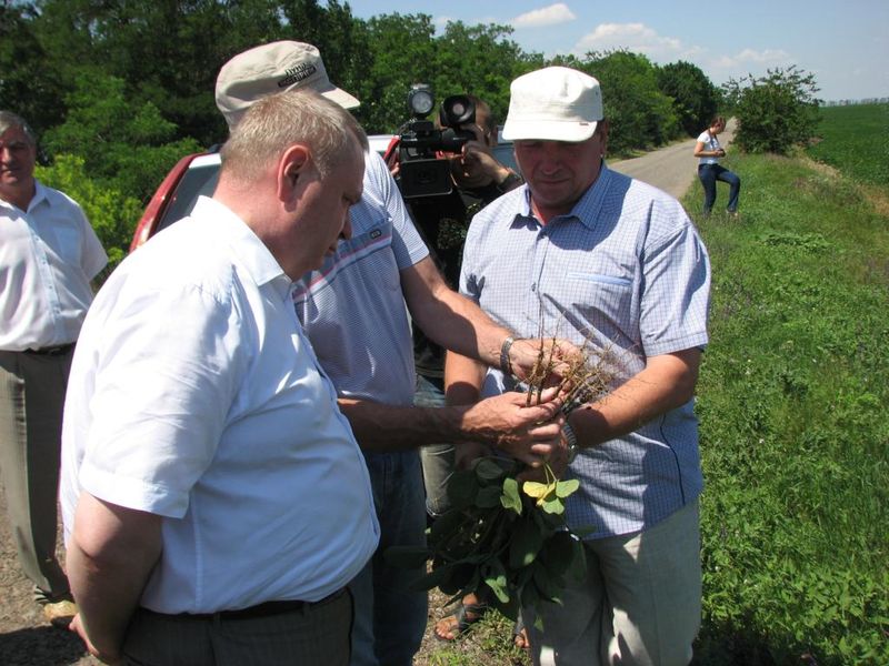 На запорізьких полях гаряча пора – аграрії   розпочали жнива 