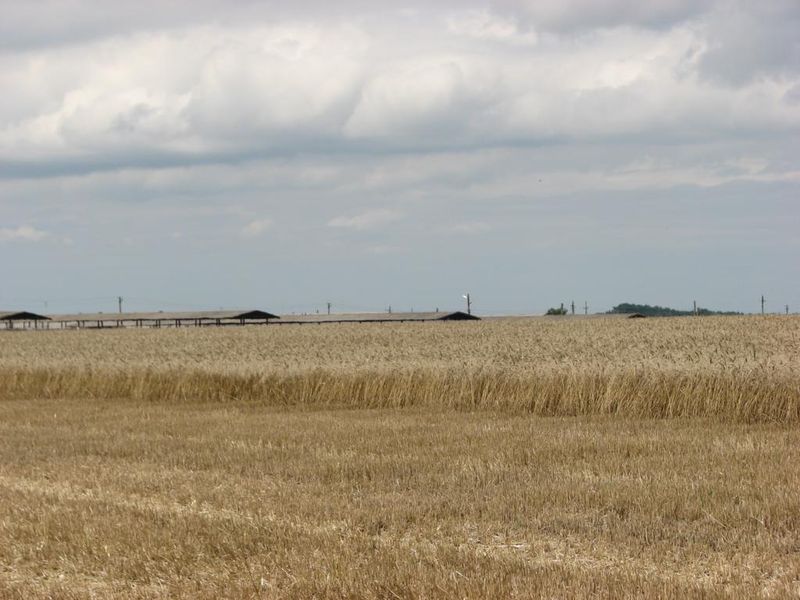 Запорізькі хлібороби  наближаються до першого мільйона тонн нового врожаю