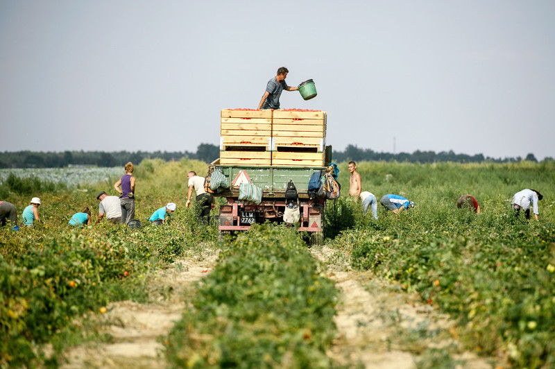 Несприятливі погодні умови  відстрочують збір урожаю та посівну кампанію