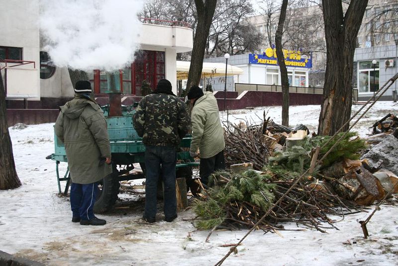 У регіоні відкриють притулок для безхатченків