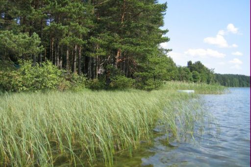 Запорізькими землевпорядниками  встановлено межі 10 об'єктів природно-заповідного фонду  