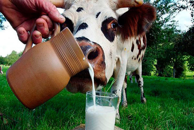 До 2018 року виробництво молока в області планують збільшити до 35,3 тис. тонн