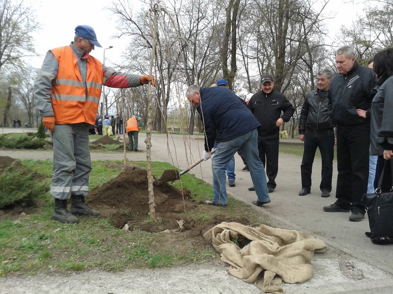 Голова облдержадміністрації долучився до благоустрою Алеї Трудової Слави, парку Металургів та парку імені Кірова