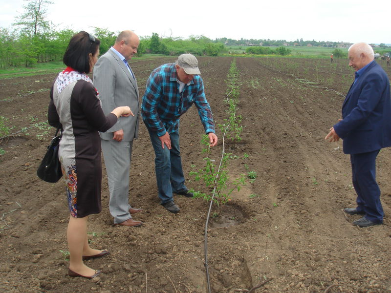 Токмацькі фермери поділилися з колегами досвідом  вирощування кизилу