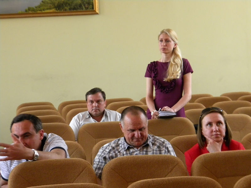 Обласна влада порушила перед Урядом проблеми підключення електроустановок замовників до електричних мереж  