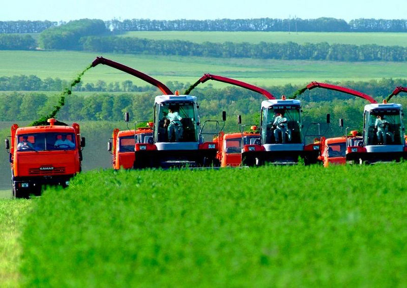 Запорізькі аграрії готують до презентації свою продукцію на «Агро - 2014»