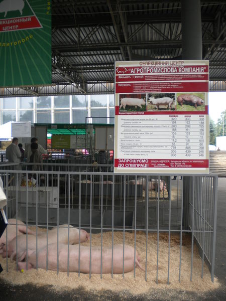 Продукція запорізьких тваринницьких господарств - краща на Міжнародній агропромисловій виставці "Агро-2014"